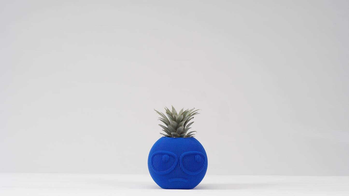 Dude Family Vase / Planter