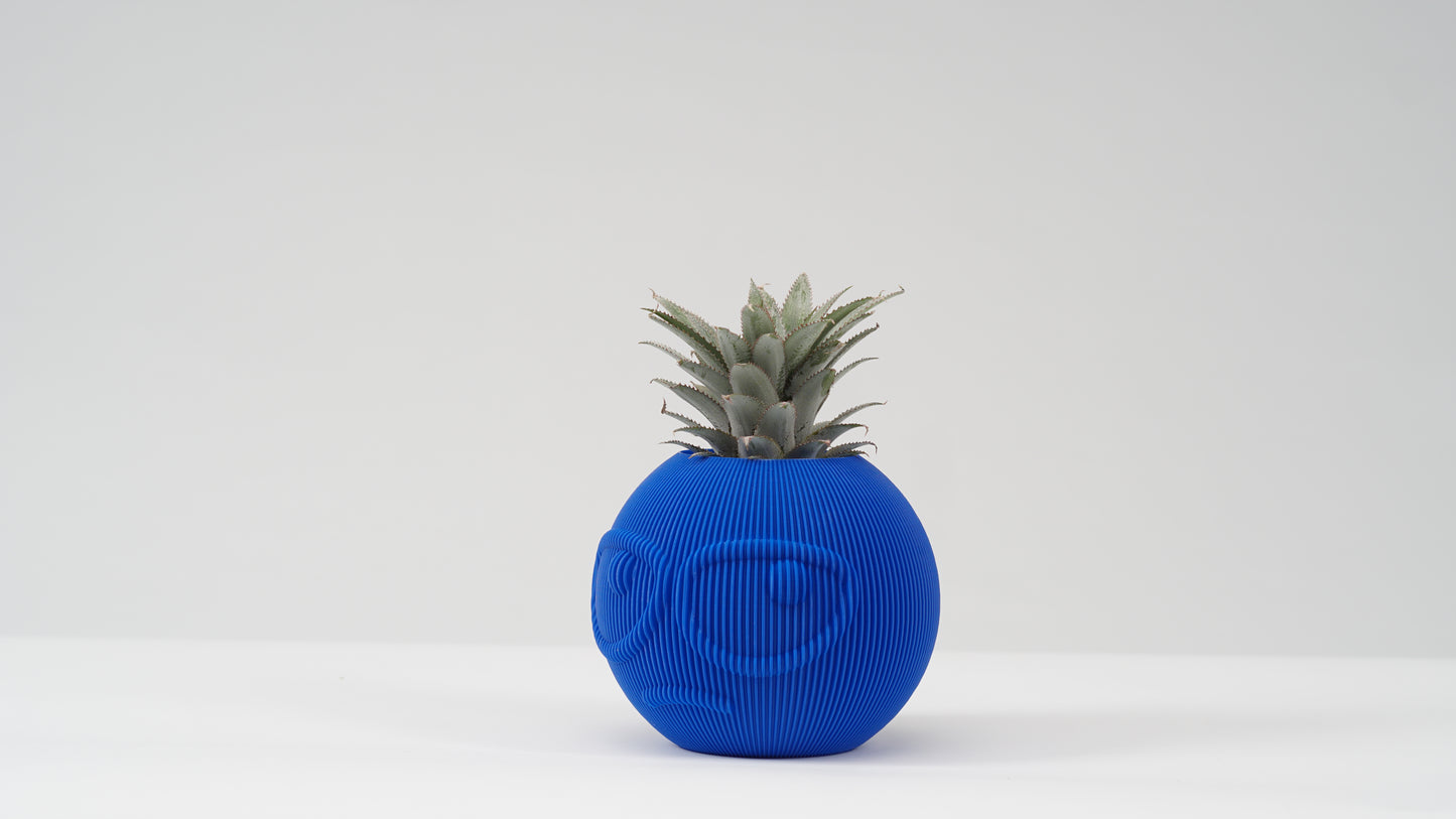 Dude Family Vase / Planter