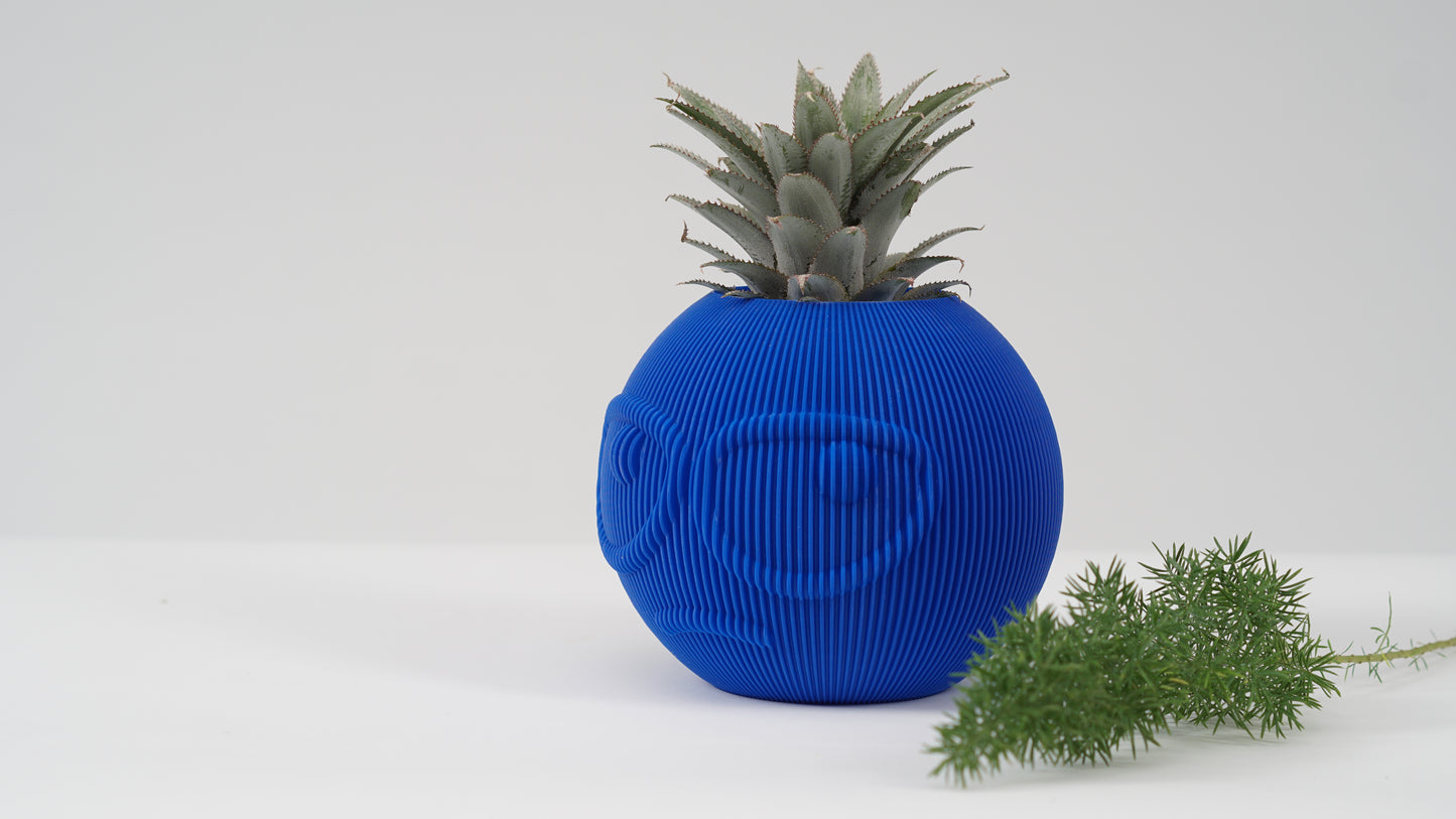 Dude Family Vase / Planter