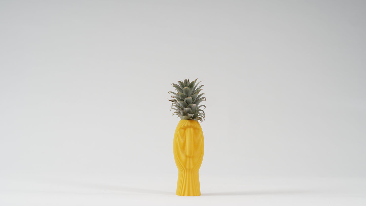 Dude Family Vase / Planter
