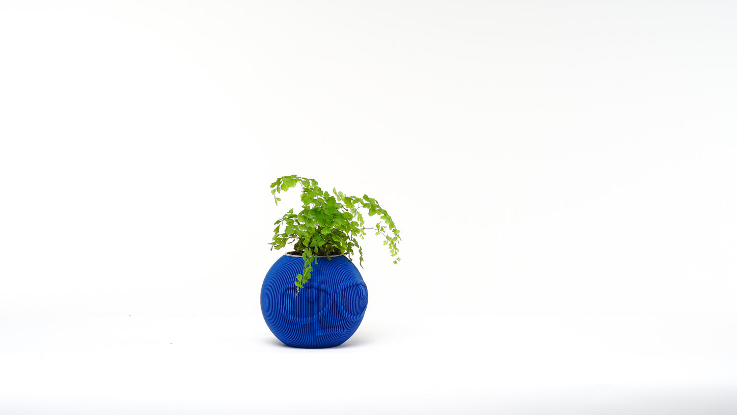 Dude Family Vase / Planter