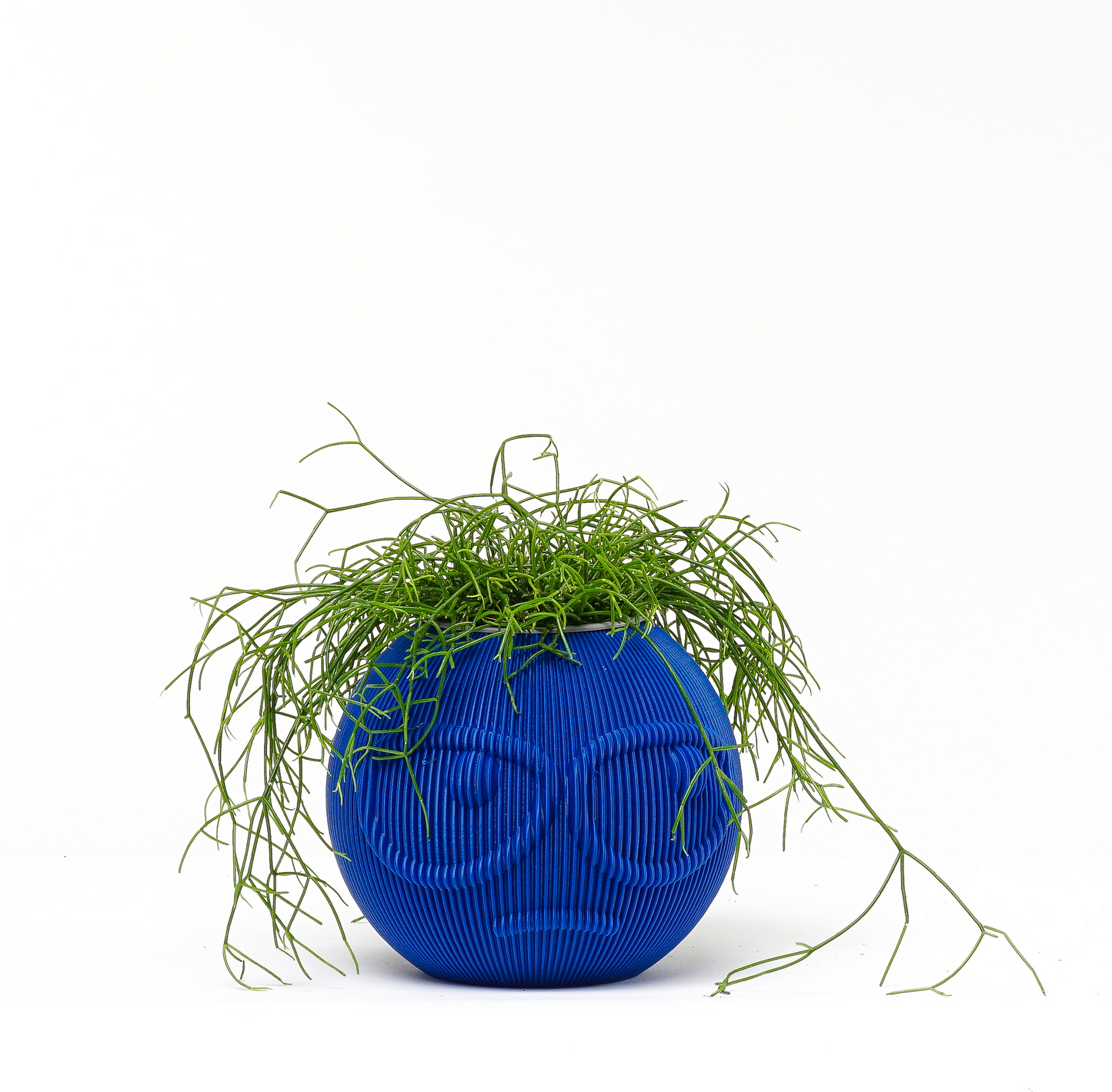 Dude Family Vase / Planter