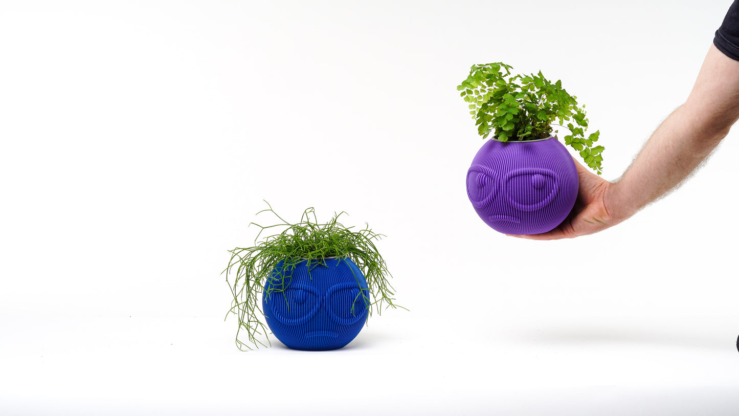 Dude Family Vase / Planter