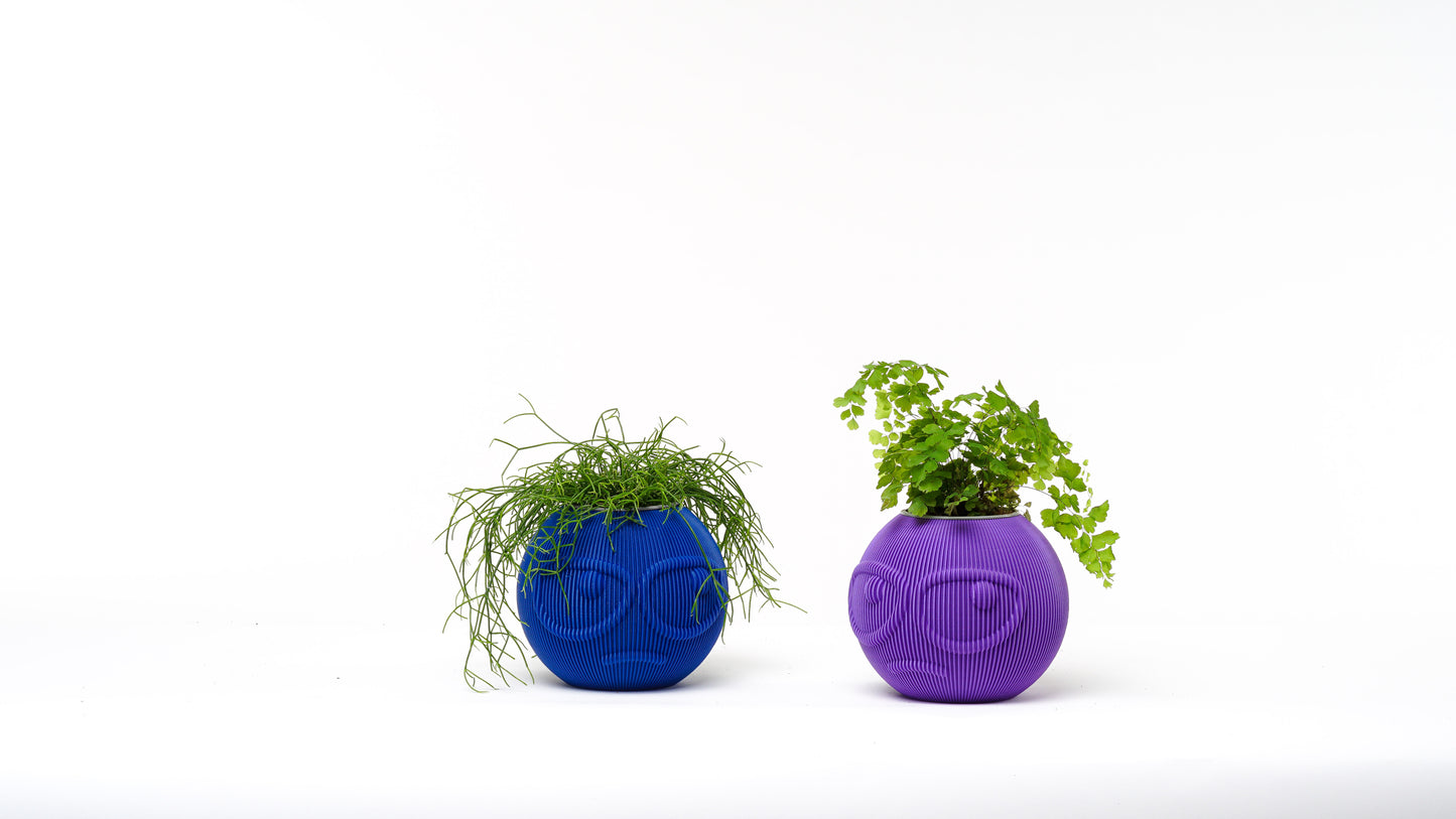 Dude Family Vase / Planter