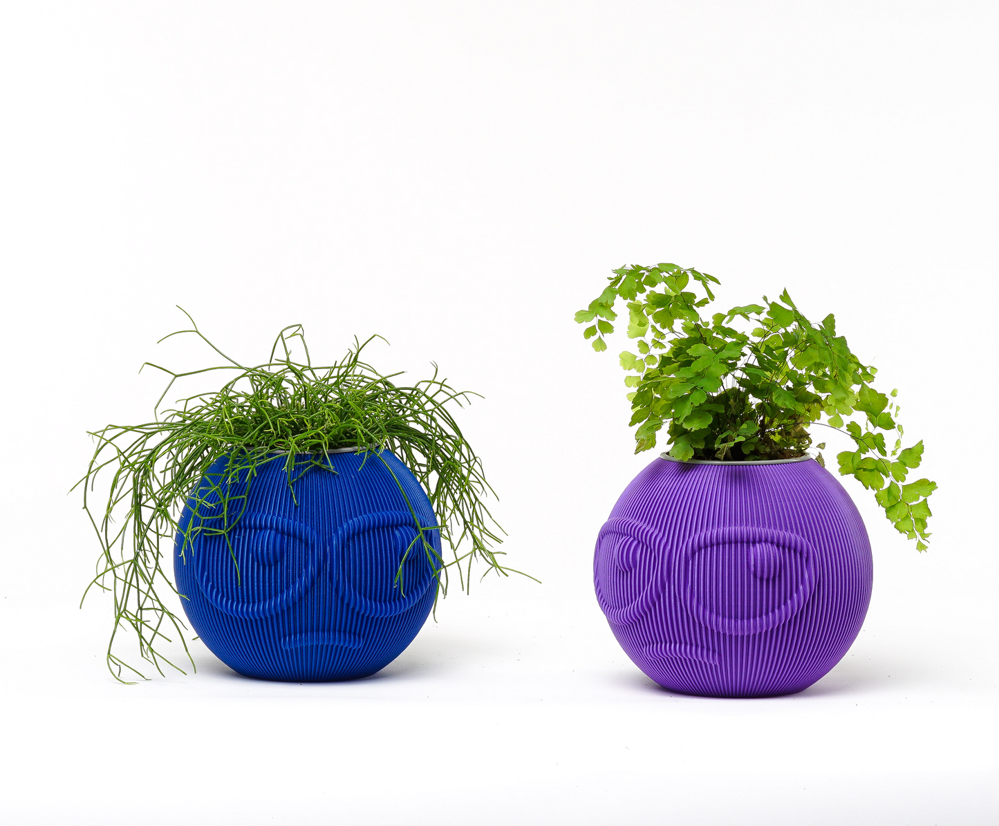 Dude Family Vase / Planter