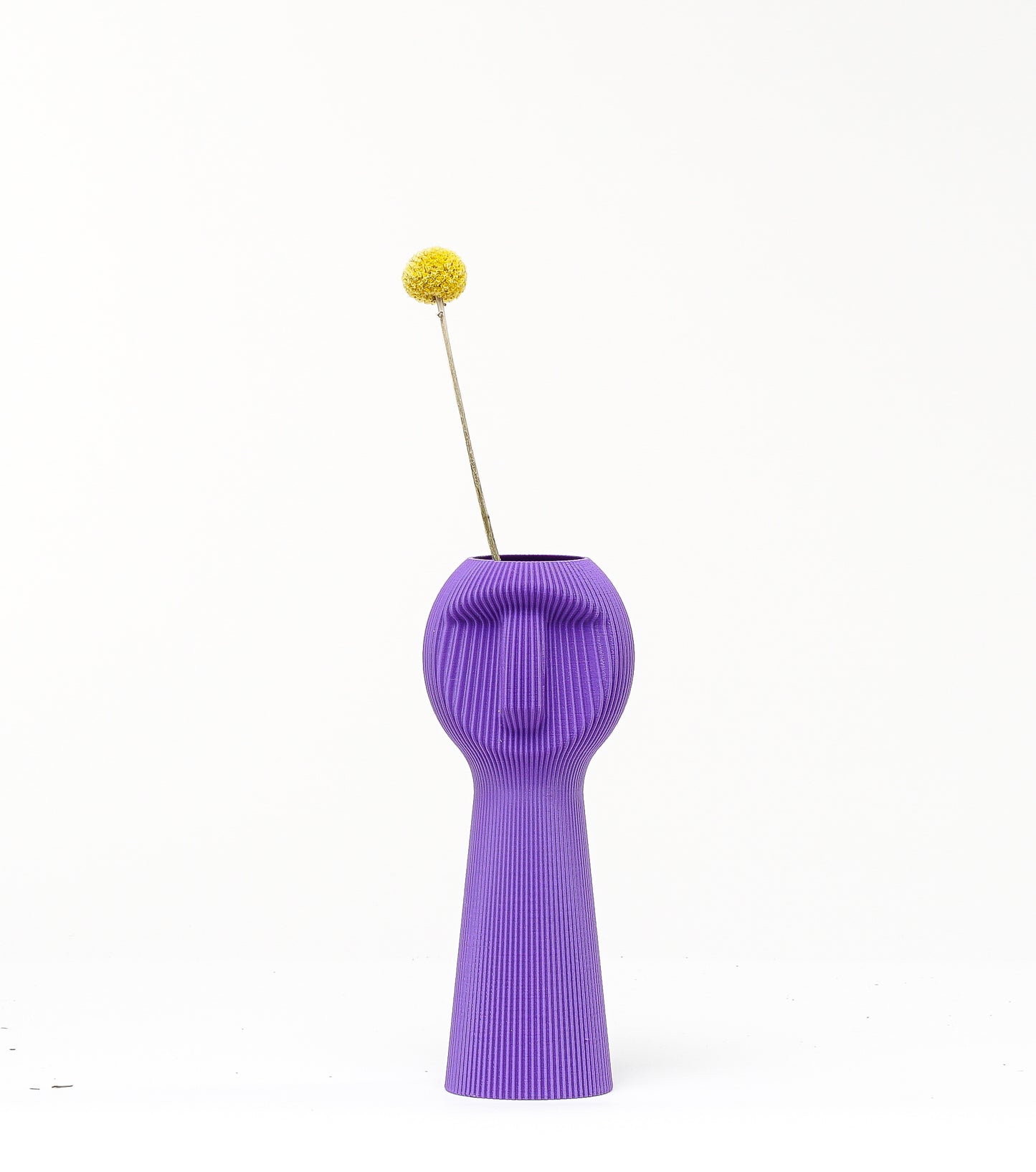 Dude Family Vase / Planter