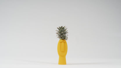 Dude Family Vase / Planter