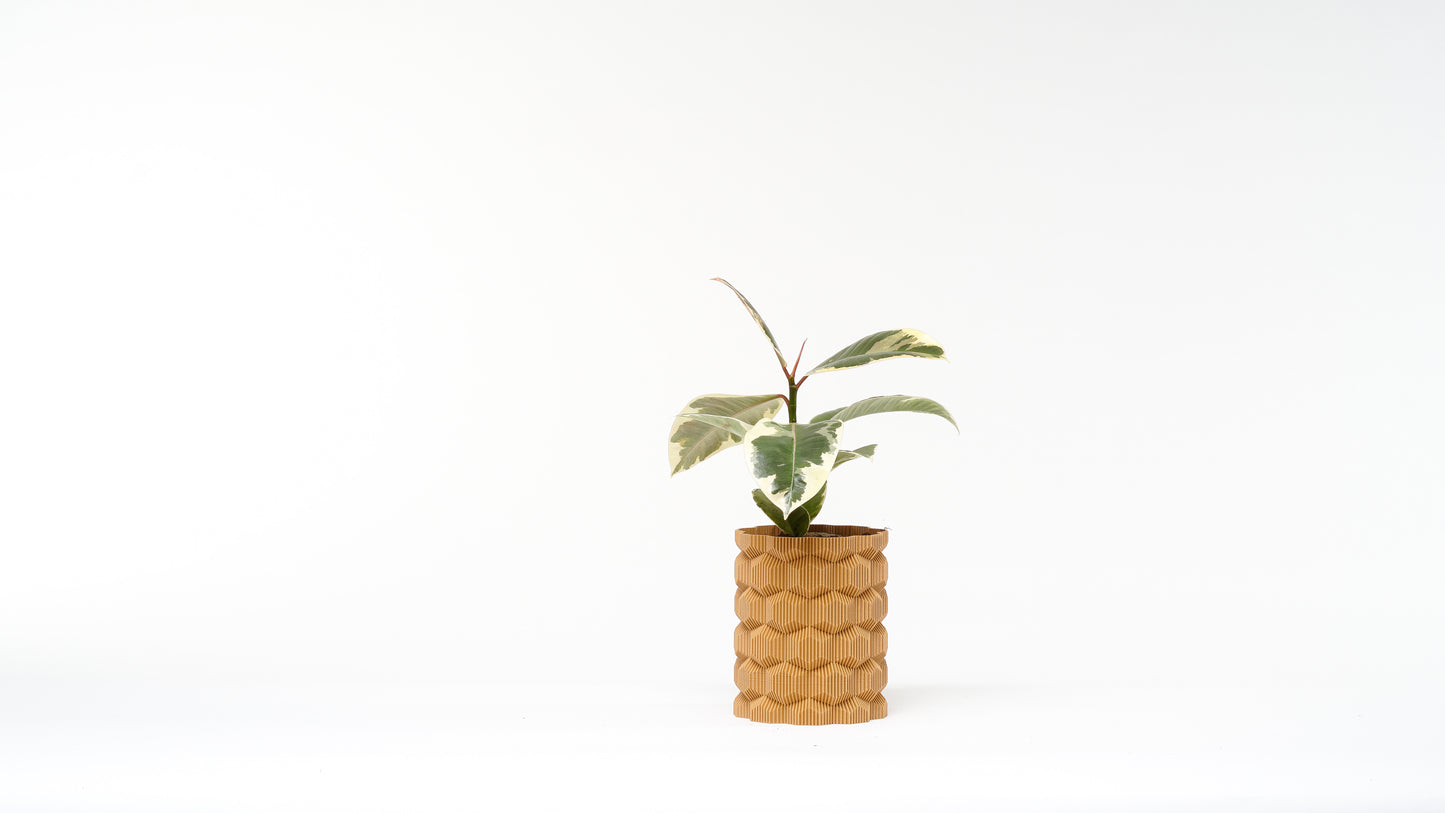 Cubee Vase