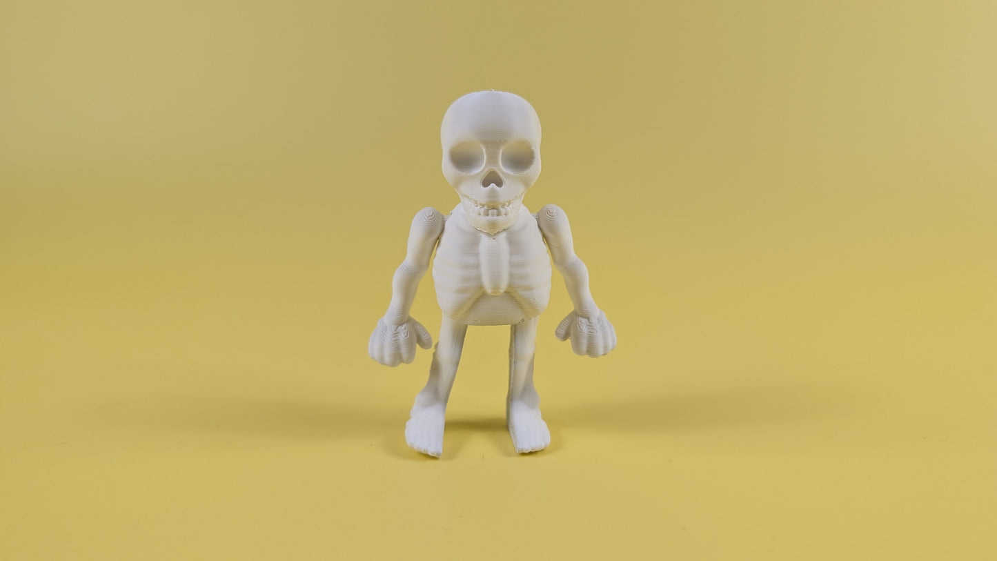 SKELETON