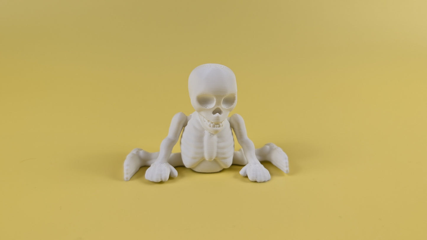 SKELETON